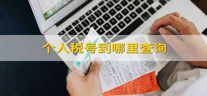 个人税号可以上哪里查？