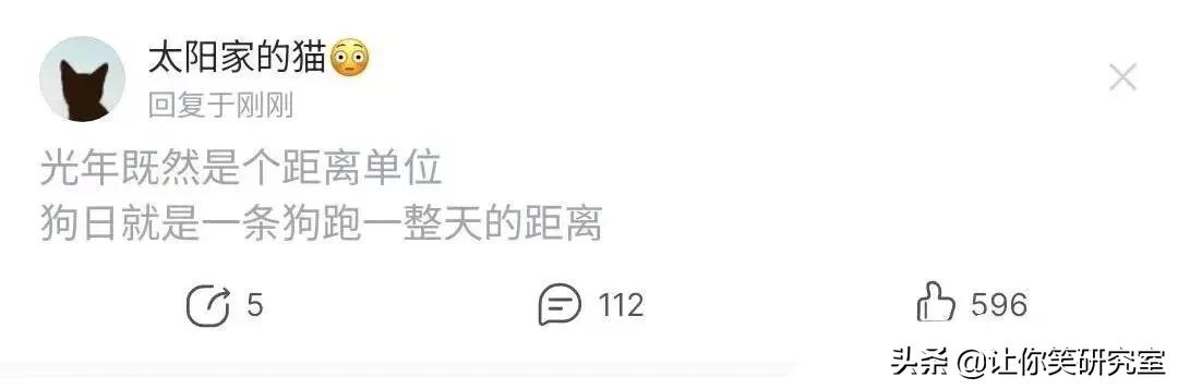 什么梗(什么梗是什么意思)