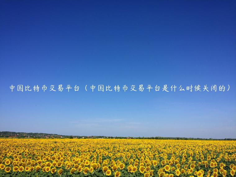 中国比特币交易平台（中国比特币交易平台是什么时候关闭的）
