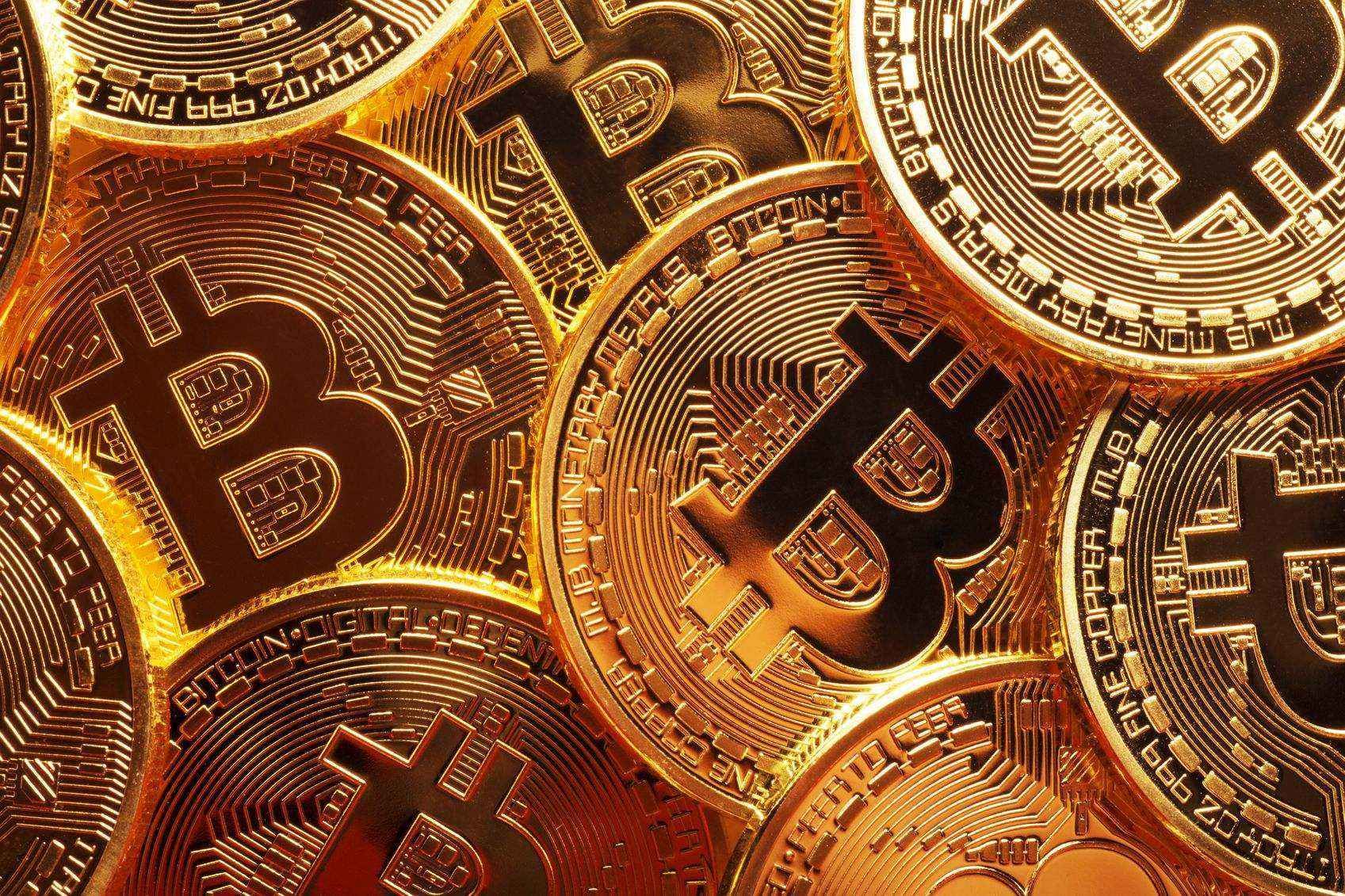 Marange计算机程序狗（Marange计算机程序狗App浏览官方网站）