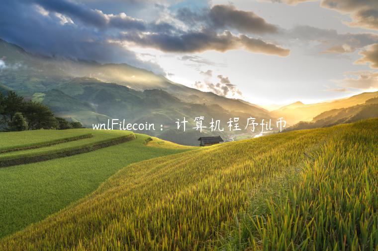 wnlFilecoin：计算机程序fil币