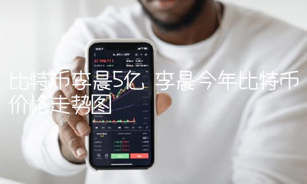 比特币李晨5亿 李晨今年比特币价格走势图