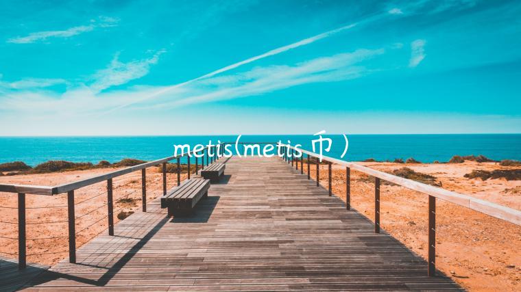 metis(metis币)
