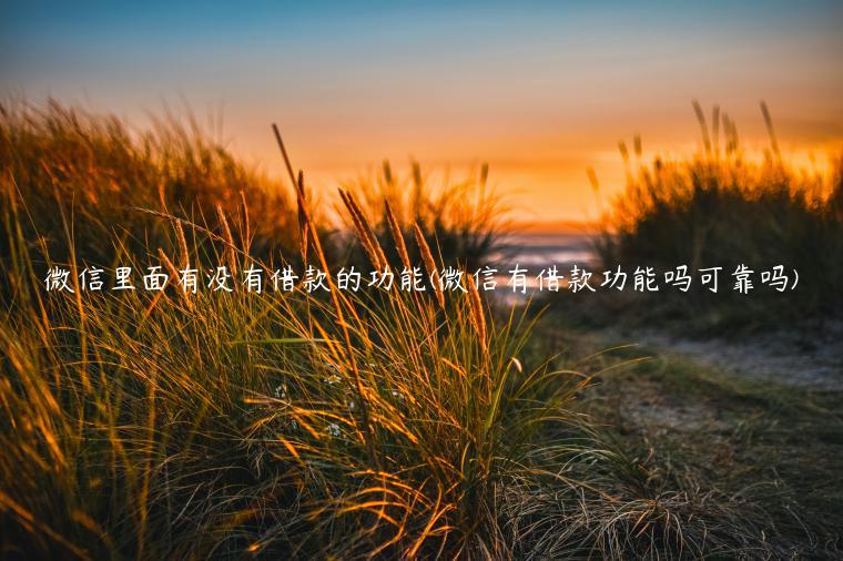 微信里面有没有借款的功能(微信有借款功能吗可靠吗)