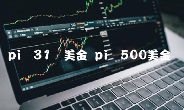 pi币31万美金 pi币500美金