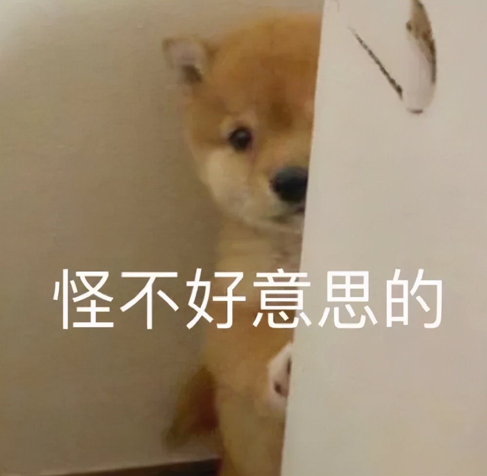 hopex(hope选手资料)