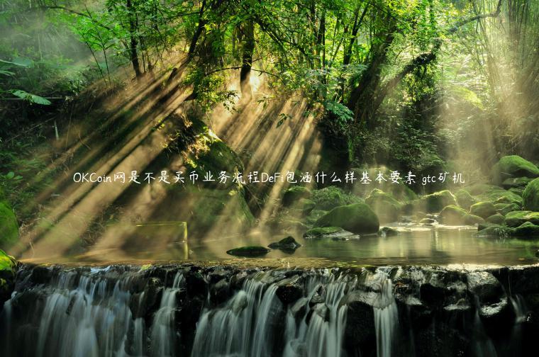 OKCoin网是不是买币业务流程DeFi包涵什么样基本要素 gtc矿机