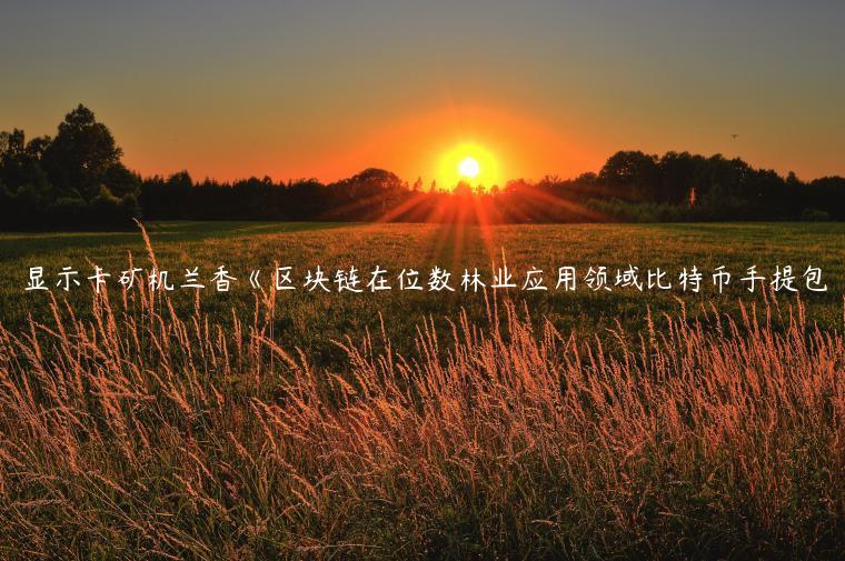 显示卡矿机兰香《区块链在位数林业应用领域比特币手提包
