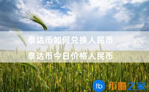 泰达币价格换算人民币(泰达币怎么换成人民币)