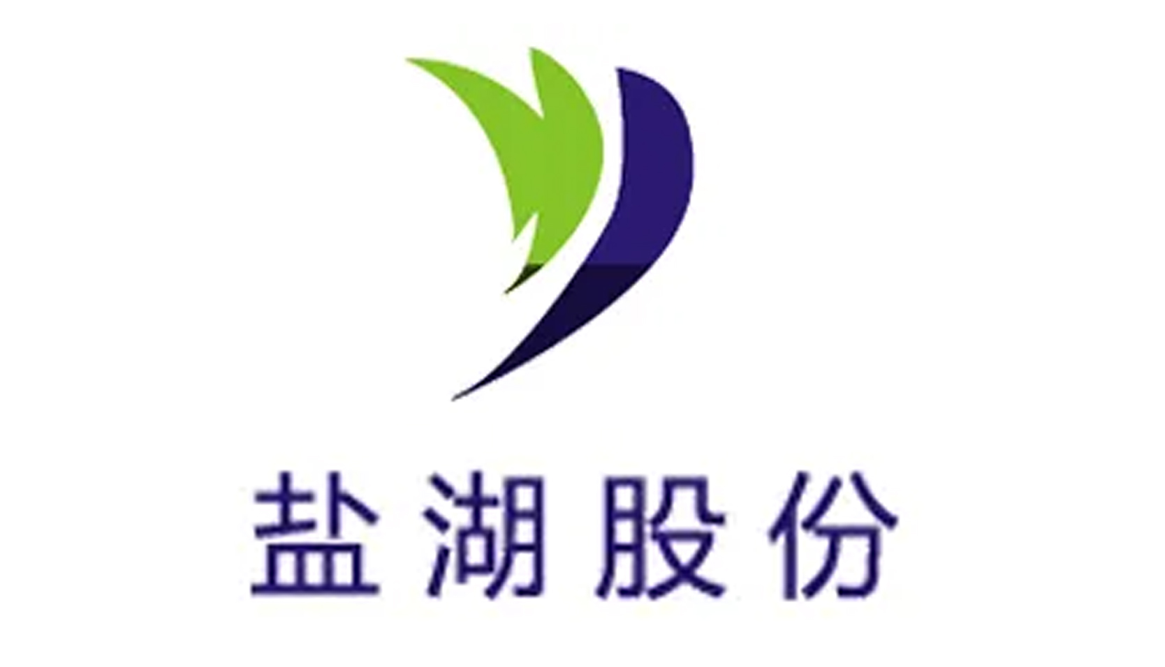 新能源汽车龙头股排名（新能源汽车龙头股排名雪球）14