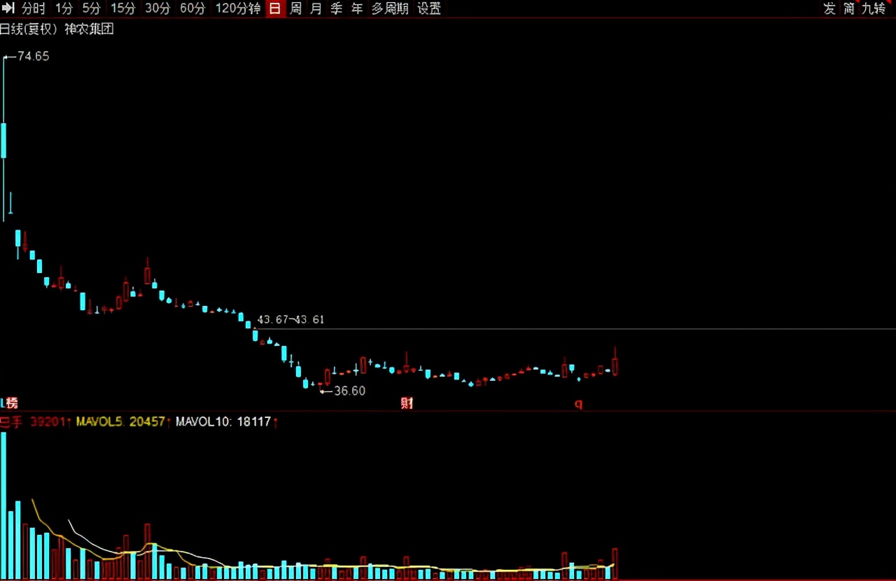 猪肉股票有哪些（猪肉股票有哪些代码）