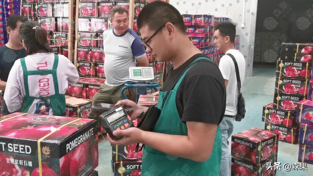 海泉果业官网（山泉果业有限公司）14