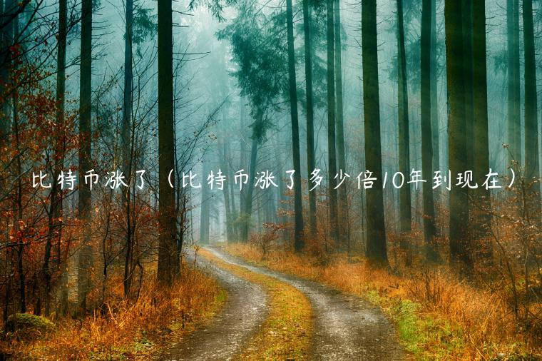 比特币涨了（比特币涨了多少倍10年到现在）