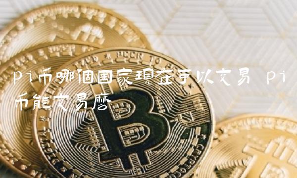 pi币哪个国家现在可以交易 pi币能交易么