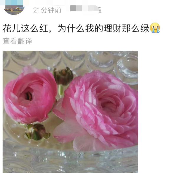 基金理财会不会把买入的钱都亏里（基金亏了会不会超过买入的钱）7