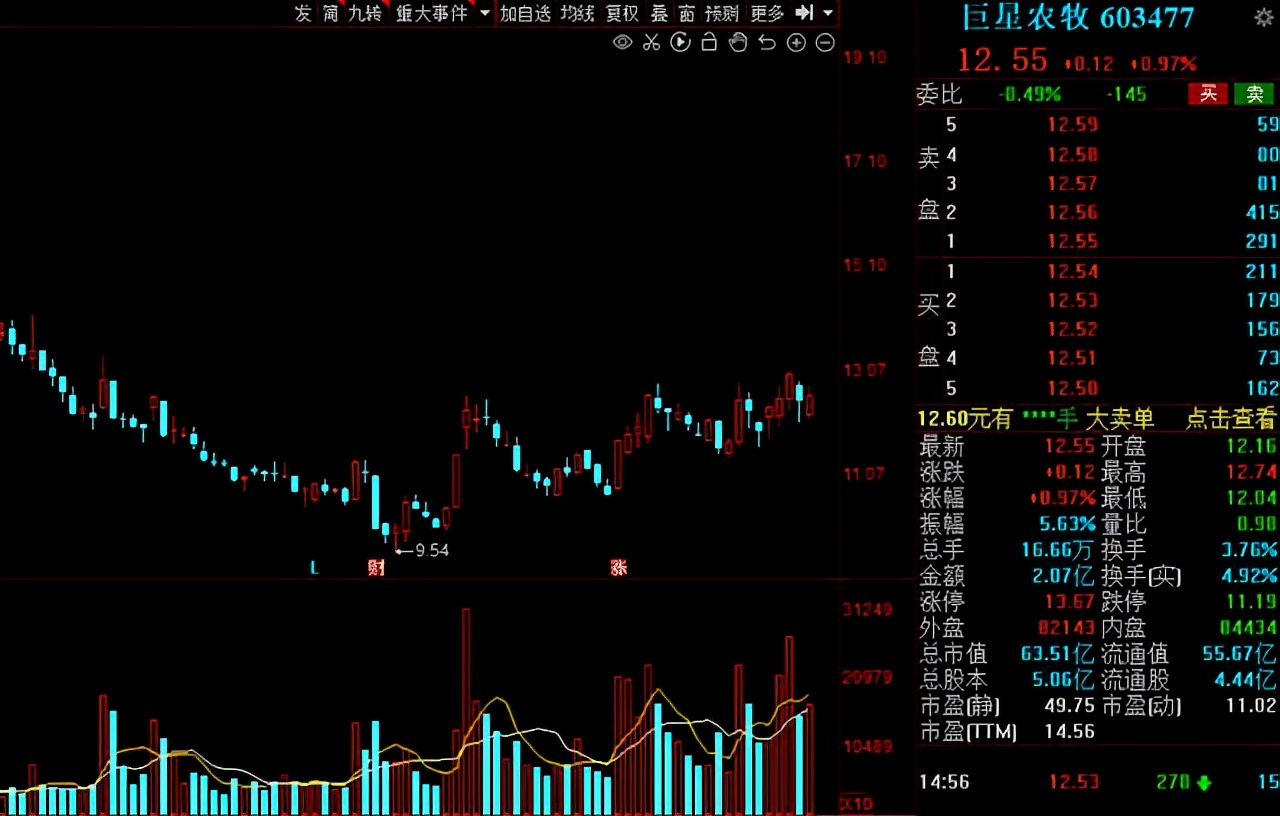 猪肉股票有哪些（猪肉股票有哪些代码）