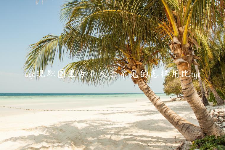 uqc现职圈里专业人士常见的怎样用比tyt