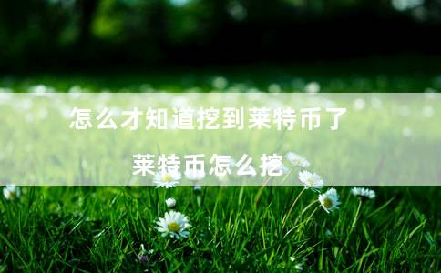 怎么才知道挖到莱特币了(莱特币怎么挖)插图 怎么才知道挖到莱特币了(莱特币怎么挖)
