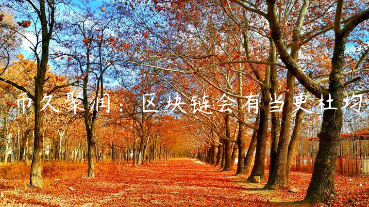 币久聚润:区块链会有当更杜均插图 币久聚润:区块链会有当更杜均