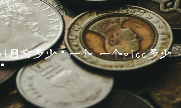 pi目前多少钱一个 一个picc多少钱