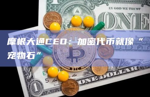 摩根大通CEO：加密代币就像“宠物石”