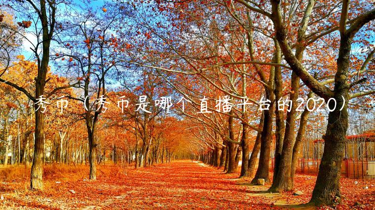 秀币(秀币是哪个直播平台的2020)插图 秀币(秀币是哪个直播平台的2020)