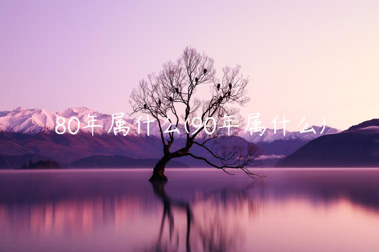 80年属什么(90年属什么)