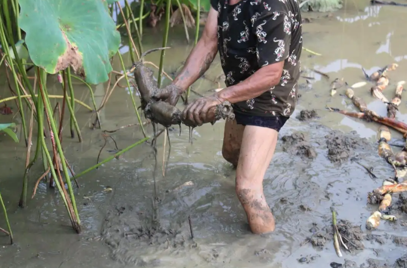 投资10元一小时赚500赚钱（微信投资10元一小时赚500）