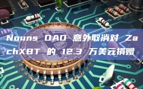 Nouns DAO 意外取消对 ZachXBT 的 12.3 万美元捐赠