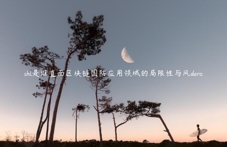 shl是谁直面区块链国防应用领域的局限性与风dero插图 shl是谁直面区块链国防应用领域的局限性与风dero
