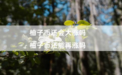柚子币还会大涨吗(柚子币还能再涨吗)插图 柚子币还会大涨吗(柚子币还能再涨吗)