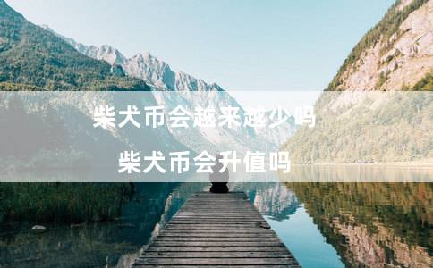 柴犬币会越来越少吗（柴犬币会升值吗）
