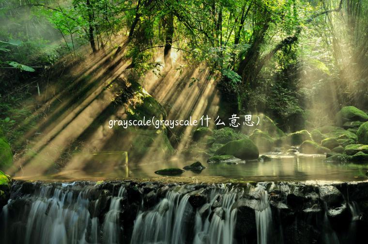 grayscale(grayscale什么意思)