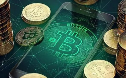 维卡币现在多少钱一枚(维卡币现在多少钱一枚了)
