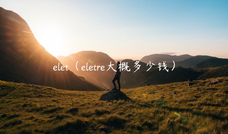 elet（eletre大概多少钱）
