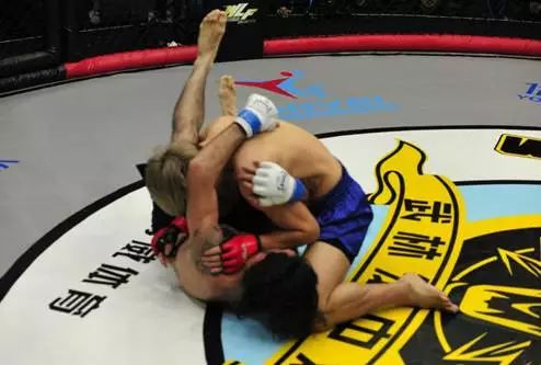 大象传媒苹果下载安装（大象影视苹果下载安装）11