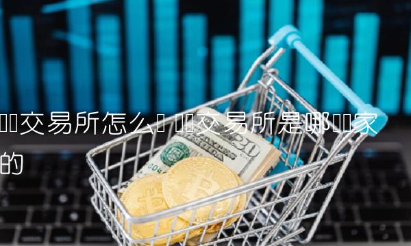 币赢交易所怎么样 币赢交易所是哪个国家的