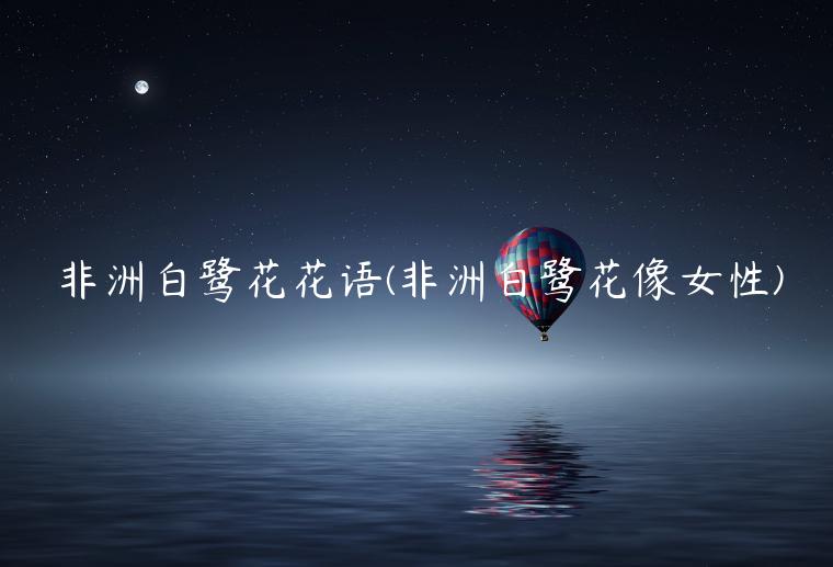 非洲白鹭花花语(非洲白鹭花像女性)插图 非洲白鹭花花语(非洲白鹭花像女性)