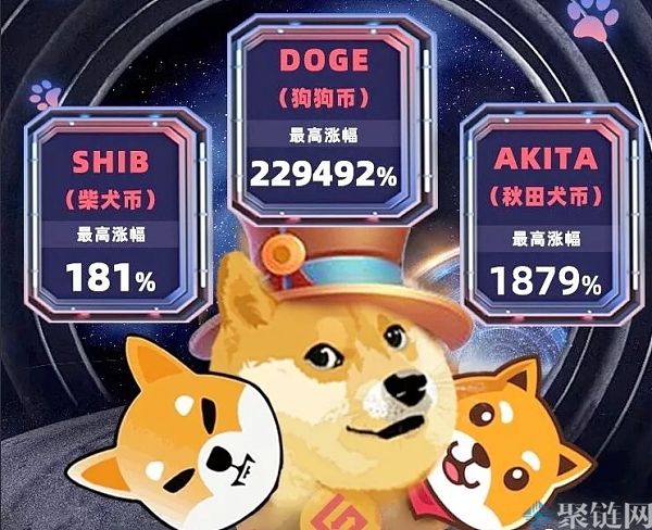 全面分析秋田犬币和柴犬币哪个好！1