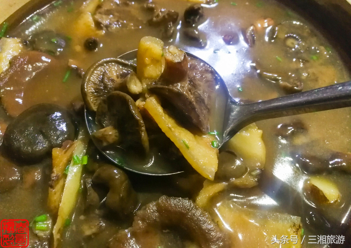 泉源生态农庄（绿源生态农庄）24