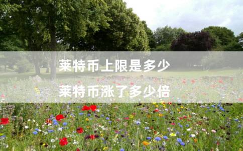 莱特币上限是多少（莱特币涨了多少倍）
