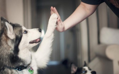 奶茶店加盟排行榜前十名加盟费（奶茶店加盟排行榜前十名加盟费蜜雪时光加盟）