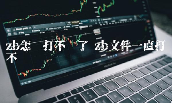 zb怎么打不开了 zb文件一直打不开