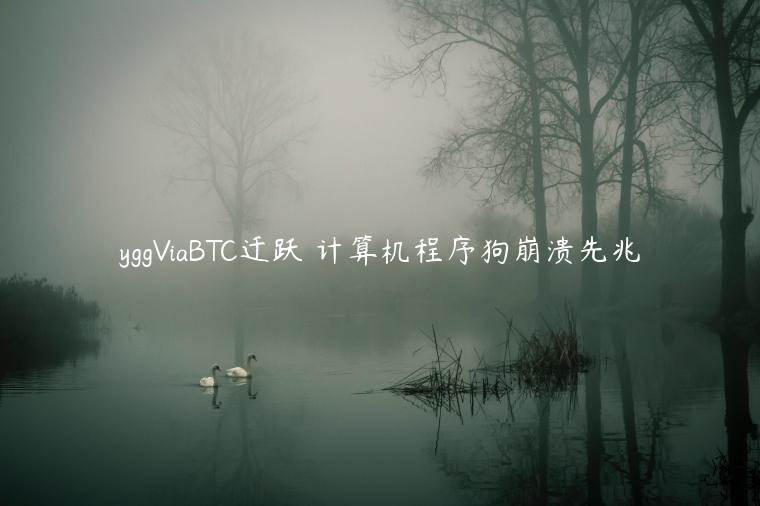 yggViaBTC迁跃 计算机程序狗崩溃先兆