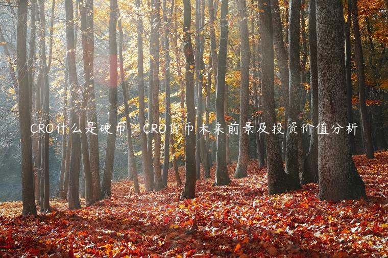 CRO什么是硬币，CRO货币未来前景及投资价值分析