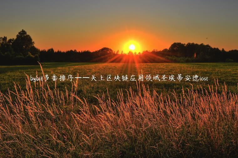 bybit多番排序——关上区块链应用领域圣埃蒂安德iost