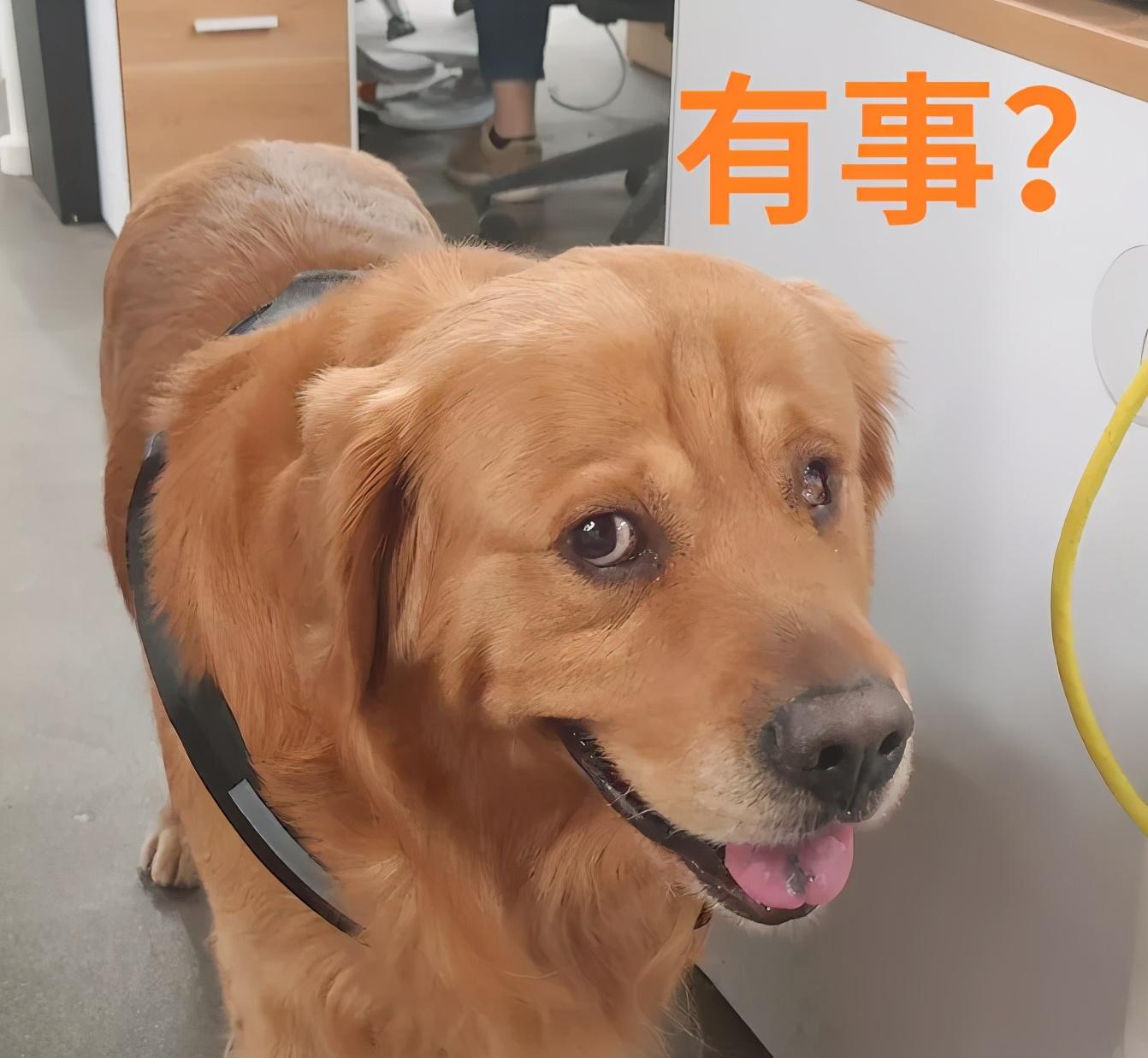 最新区块链挖矿发布网(区块链电脑挖矿平台)插图9 最新区块链挖矿发布网(区块链电脑挖矿平台)