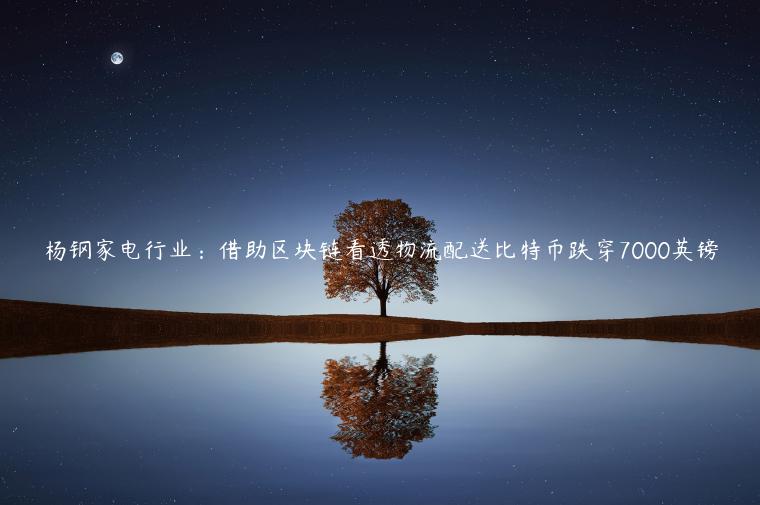 杨钢家电行业：借助区块链看透物流配送比特币跌穿7000英镑