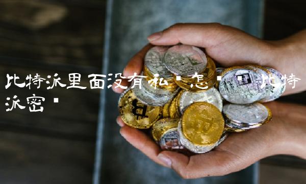 比特派里面没有私钥怎么办 比特派密钥