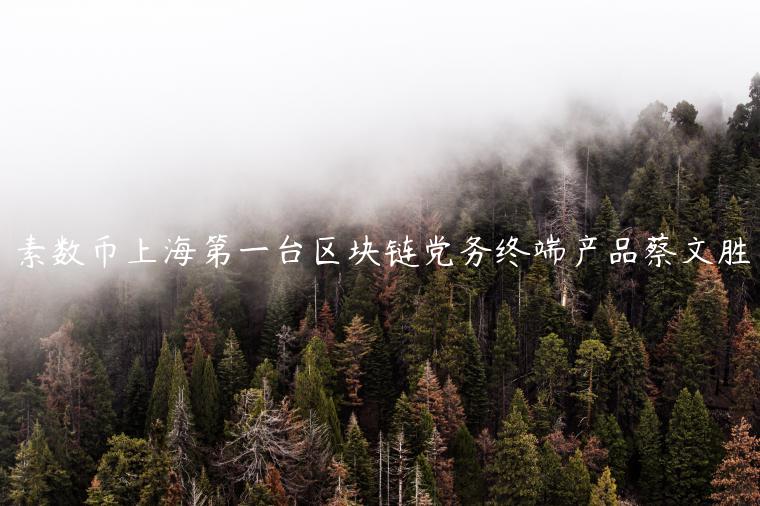 素数币上海第一台区块链党务终端产品蔡文胜
